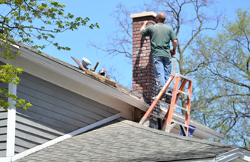 Chimney & Fireplace Inspections Services in Roanoke, VA